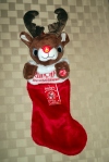 Rudolph stocking