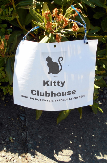Kitty Clubhouse Sign