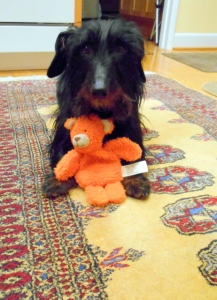 Chloe with new orange bear